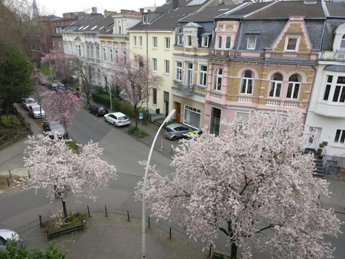 Hotel Mozart Bonn Zewnętrze zdjęcie